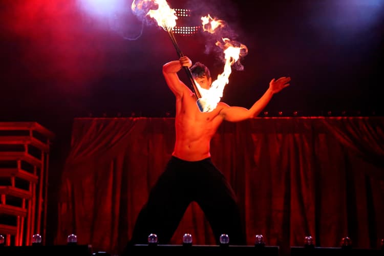 Espectáculos de fuego, foto 2