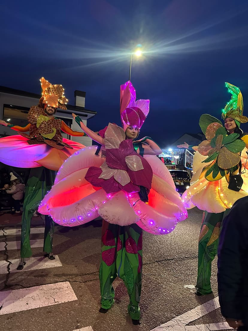 Zancudos con vestuario flor iluminado LED en magenta y dorado en pasacalles nocturno
